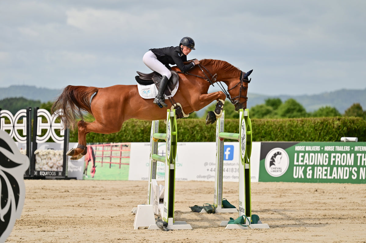 Why MSM is in so many of our products - and what it does for your hors Science Supplements UK Why MSM is in so many of our products - and what it does for your hors Science Supplements UK