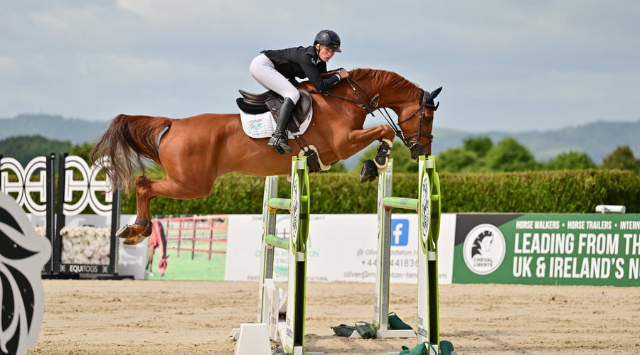 Why MSM is in so many of our products - and what it does for your horse