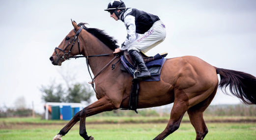 Could National Hunt Racing be made safer by Changing the Colours used to Mark the Fences?
