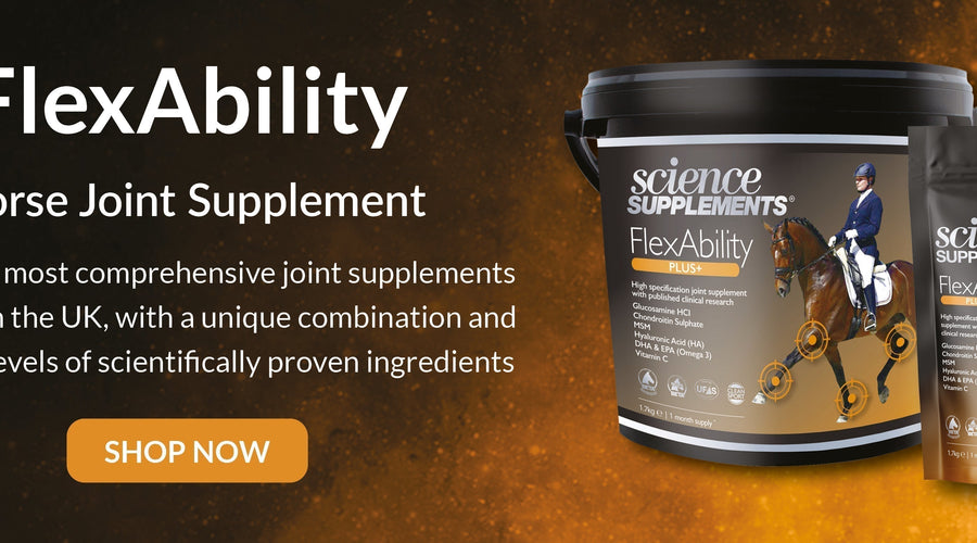 Product Spotlight - The FlexAbility Range
