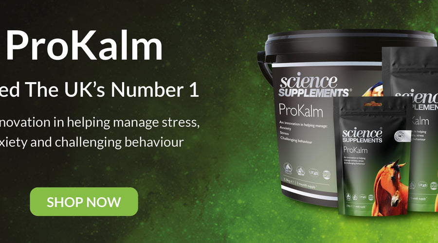 Product Spotlight - ProKalm