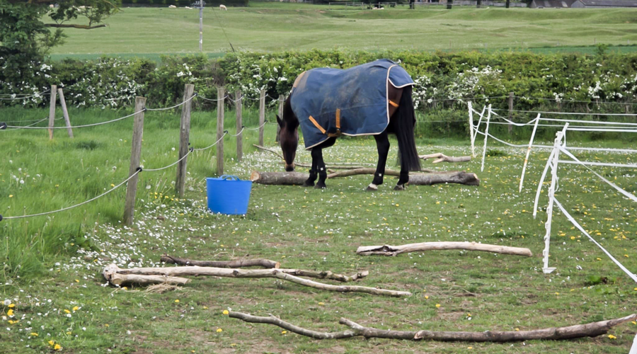 New research emerges supporting the use of track systems for weight management