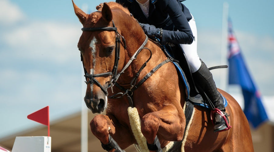 Vitamin E-ssential - The Importance of Vitamin E Supplementation