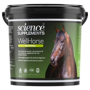 WellHorse Veteran | Horse Feed Balancer