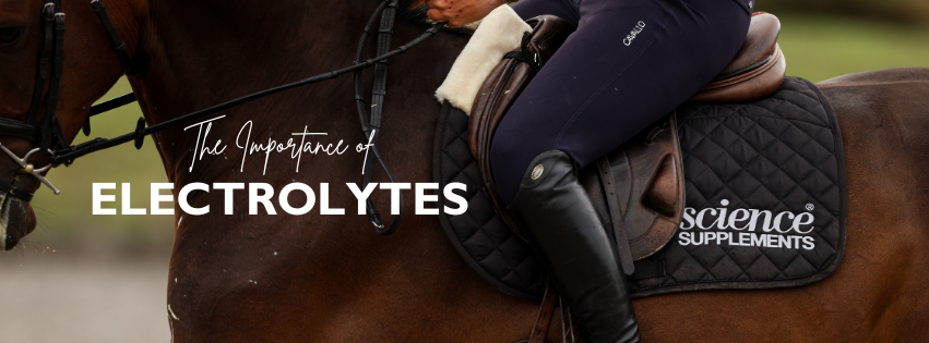 The Importance of Electrolytes