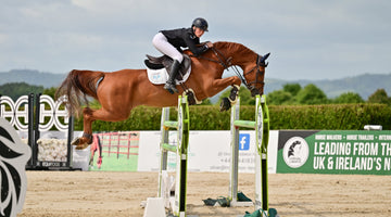 Why MSM is in so many of our products - and what it does for your horse