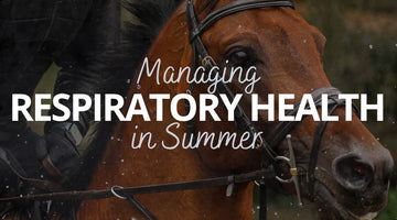 Managing Respiratory Health in Summer