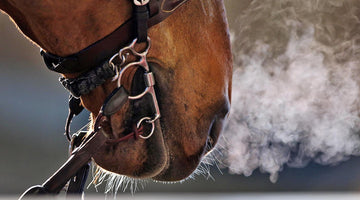 Severe equine asthma is associated with thickening of the pulmonary arteries