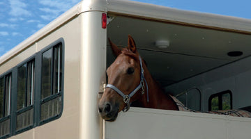 New Research into Transporting Horses