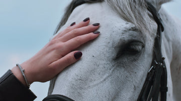 Could you be allergic to your Horse?