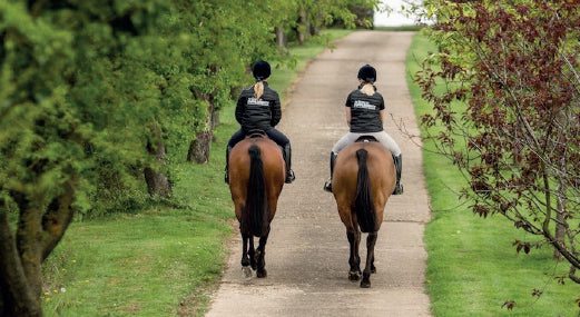 How does being ridden by different people affect horses’ responses to ...
