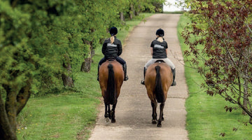 How does being ridden by different people affect horses’ responses to training?