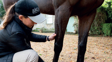 Scoring system finds lameness in horses considered sound by their owners