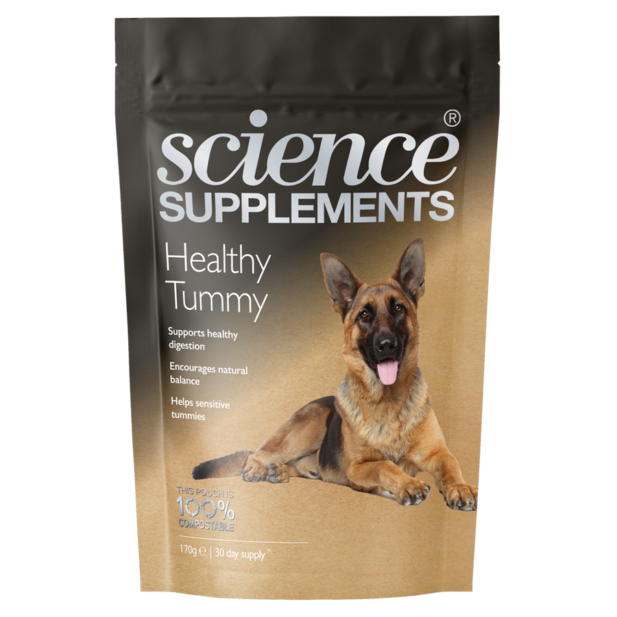 Healthy Tummy K9 Dog Digestion Supplement