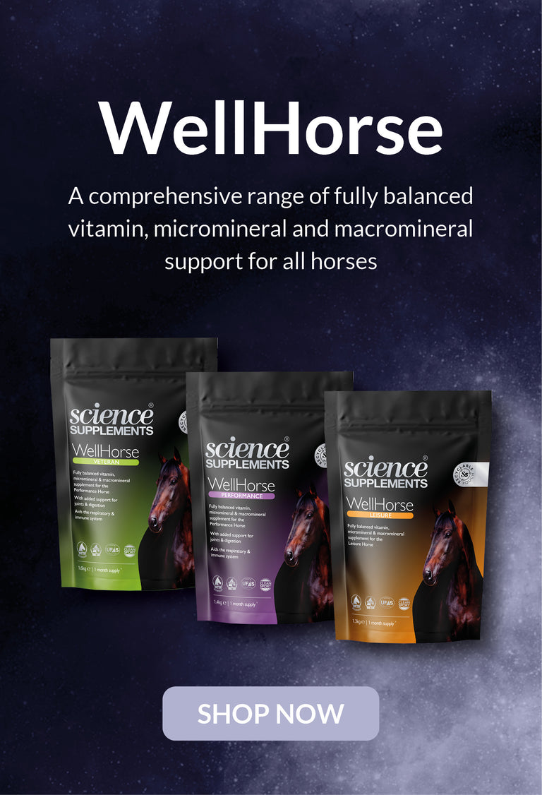 Science Supplements WellHorse Banner